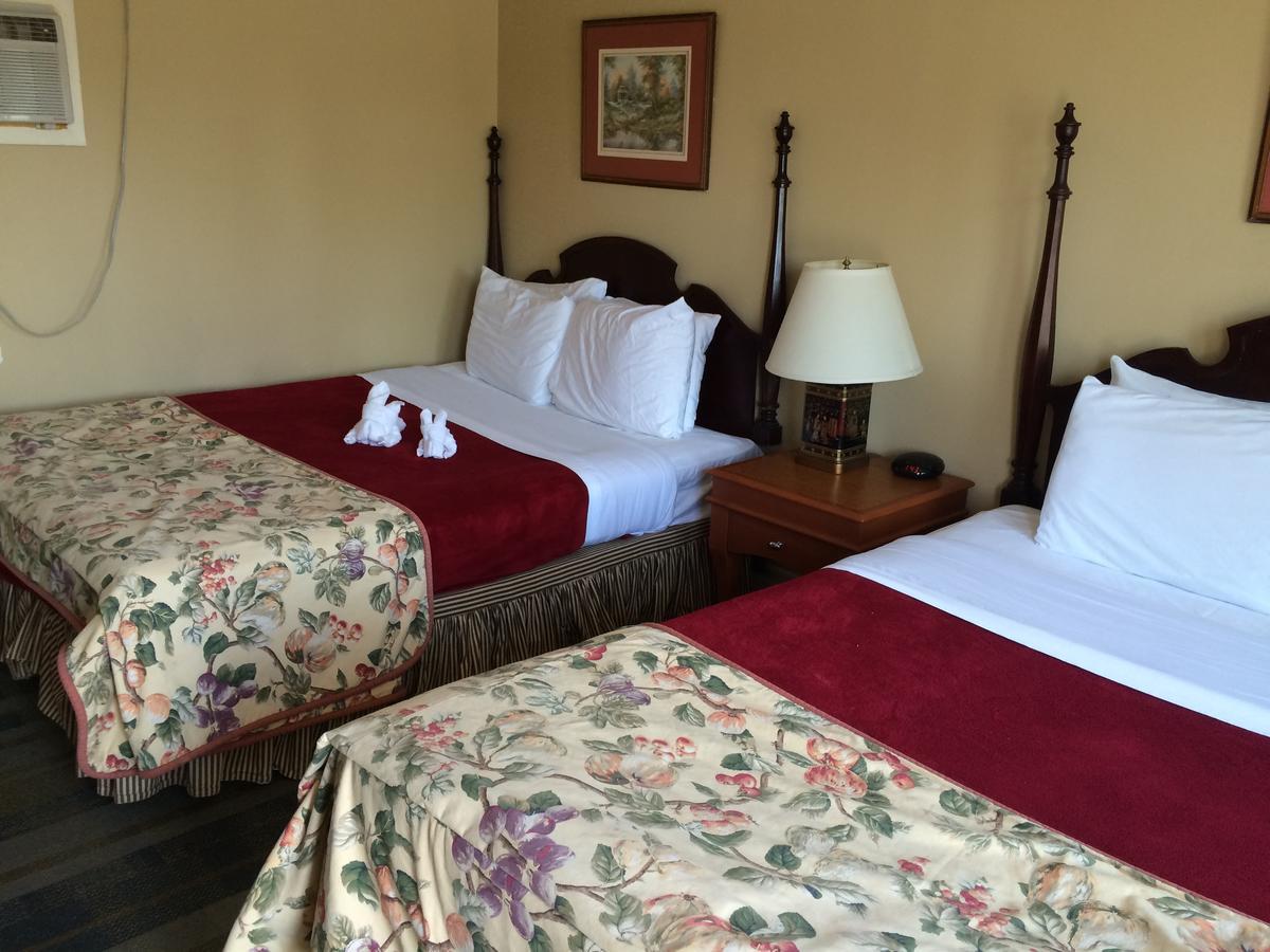 E-Lodge Near The Falls ไนแอการาฟอลส์ ภายนอก รูปภาพ